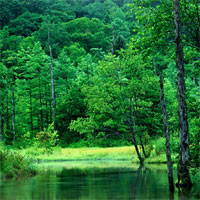 美しい森と湖(サムネイル)